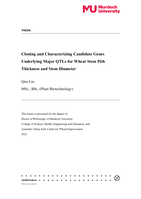 Cloning and Characterizing Candidate Genes Underlying Major QTLs for Wheat Stem Pith Thickness and Stem Diameter