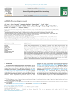 miRNAs for crop improvement