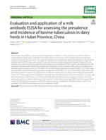 Evaluation and application of a milk antibody ELISA for assessing the prevalence and incidence of bovine tuberculosis in dairy herds in Hubei Province, China