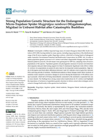 Strong population genetic structure for the endangered Micro-Trapdoor Spider Moggridgea rainbowi (Mygalomorphae, Migidae) in Unburnt Habitat after Catastrophic Bushfires