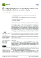What Is Wrong with Frankenia nodiflora Lam. (Frankeniaceae)? New Insights into the South African Sea-Heaths