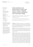 Weed infestation and productivity of wheat crop sown in various cropping systems under conventional and conservation tillage