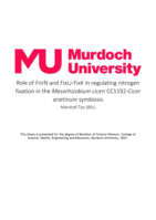 Role of FnrN and FixLJ-FixK in regulating nitrogen fixation in the Mesorhizobium ciceri CC1192-Cicer arietinum symbiosis