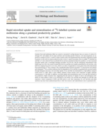 Rapid microbial uptake and mineralization of 14C-labelled cysteine and methionine along a grassland productivity gradient