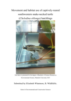 Movement and habitat use of captively-reared southwestern snake-necked turtle (Chelodina oblonga) hatchlings