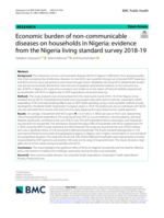 Economic burden of non-communicable diseases on households in Nigeria: evidence from the Nigeria living standard survey 2018-19