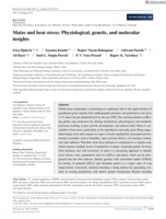Maize and heat stress: Physiological, genetic, and molecular insights