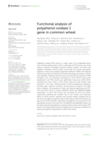 Functional analysis of polyphenol oxidase 1 gene in common wheat