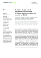 Genetics of spot blotch resistance in bread wheat (Triticum aestivum L.) using five models for GWAS