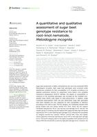 A quantitative and qualitative assessment of sugar beet genotype resistance to root-knot nematode, Meloidogyne incognita