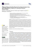 Alginate Oligosaccharides repair liver injury by improving Anti-Inflammatory capacity in a Busulfan-Induced Mouse Model
