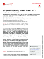 Mucosal Gene Expression in Response to SARS-CoV-2 Is Associated with Viral Load