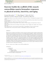 Exercise builds the scaffold of life: Muscle extracellular matrix biomarker responses to physical activity, inactivity, and aging