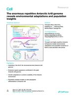 The enormous repetitive Antarctic krill genome reveals environmental adaptations and population insights