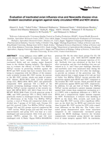 Evaluation of inactivated avian influenza virus and Newcastle disease virus bivalent vaccination program against newly circulated H5N8 and NDV strains