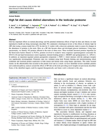 High fat diet causes distinct aberrations in the testicular proteome