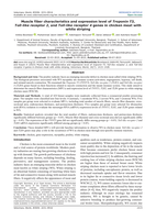 Muscle fiber characteristics and expression level of Troponin T3, Toll-like receptor 2, and Toll-like receptor 4 genes in chicken meat with white striping
