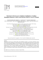 Stem borer Orientozeuzera rhabdota (Lepidoptera, Cossidae) damaging Manglietia conifera and Michelia mediocris trees in Vietnam