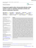 Exogenously applied sodium nitroprusside alleviates nickel toxicity in maize by regulating antioxidant activities and defense‐related gene expression
