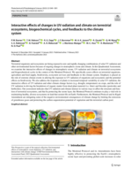 Interactive effects of changes in UV radiation and climate on terrestrial ecosystems, biogeochemical cycles, and feedbacks to the climate system