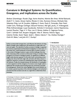 Curvature in Biological Systems: Its Quantification, Emergence, and Implications across the Scales