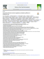 Interactions between marine megafauna and plastic pollution in Southeast Asia