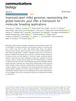 Improved pearl millet genomes representing the global heterotic pool offer a framework for molecular breeding applications