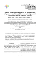 Five new species of mouse spiders in the genus Missulena (Mygalomorphae: Actinopodidae) from national parks and conservation reserves in Western Australia