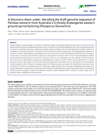 A discovery down under: decoding the draft genome sequence of Pantoea stewartii from Australia's Critically Endangered western ground parrot/kyloring (Pezoporus flaviventris)