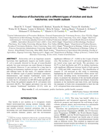 Surveillance of Escherichia coli in different types of chicken and duck hatcheries: One health outlook