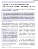 Plugging the leaks: Antibiotic resistance at human–animal interfaces in low‐resource settings