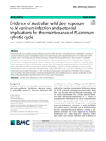 Evidence of Australian wild deer exposure to N. caninum infection and potential implications for the maintenance of N. caninum sylvatic cycle