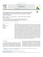 Understanding photochemical adaptations of microalgal ammonium extremophiles to elevated ammonium concentrations in abattoir anaerobic digestate