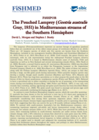 The Pouched Lamprey (Geotria australis Gray, 1851) in Mediterranean streams of the Southern Hemisphere