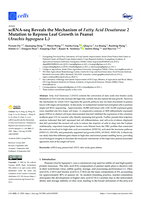 scRNA-seq reveals the mechanism of Fatty Acid Desaturase 2 mutation to repress leaf growth in peanut (Arachis hypogaea L.)