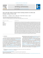 Life in the dark: Impact of future winter warming scenarios on carbon and nitrogen cycling in Arctic soils