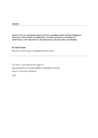 EFFECT OF PLATE BONE DISTANCE IN COMBINATION WITH WORKING LENGTH AND SCREW NUMBER ON 2.0 MM LOCKING CONSTRUCT STIFFNESS AND STRAIN IN A DIAPHYSEAL FRACTURE GAP MODEL