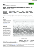 Genetic diversity and distinctness based on morphological and SSR markers in peanut