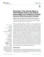 Dissection of the Genetic Basis of Yield-Related Traits in the Chinese Peanut Mini-Core Collection Through Genome-Wide Association Studies