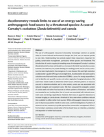 Accelerometry reveals limits to use of an energy‐saving anthropogenic food source by a threatened species: A case of Carnaby's cockatoos (Zanda latirostris) and canola