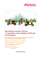 Electrifying Vietnam’s streets: A case study on the adoption of electric two-wheelers