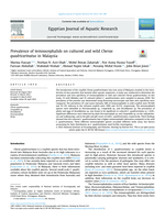 Prevalence of temnocephalids on cultured and wild Cherax quadricarinatus in Malaysia