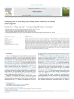 Emerging role of plant long non coding RNAs (lncRNAs) in salinity stress response