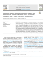Inflammation induces α1-adrenoceptor expression in peripheral blood mononuclear cells of patients with complex regional pain syndrome