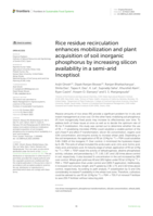 Rice residue promotes mobilisation and plant acquisition of soil phosphorus under wheat (Triticum aestivum)-rice (Oryza sativa) cropping sequence in a semi-arid Inceptisol