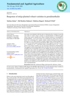 Response of Strip-Planted Wheat Varieties to Pendimethalin