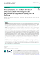 Transcriptional and protein structural characterization of homogentisate phytyltransferase genes in barley, wheat, and oat