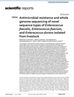 Antimicrobial resistance and whole genome sequencing of novel sequence types of Enterococcus faecalis, Enterococcus faecium, and Enterococcus durans isolated from livestock