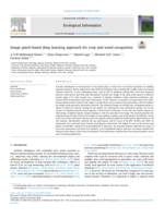 Image patch-based deep learning approach for crop and weed recognition