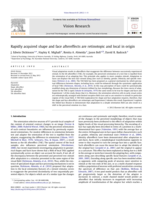 Rapidly acquired shape and face aftereffects are retinotopic and local in origin